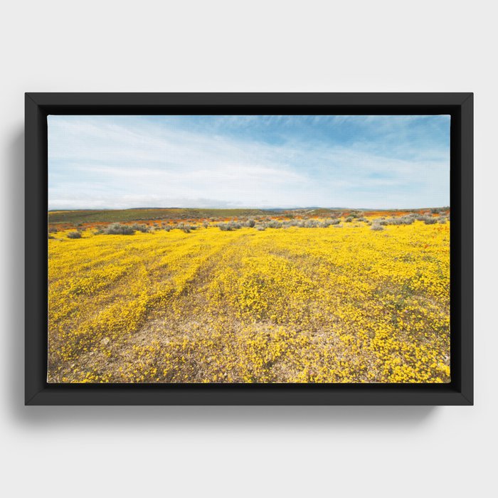 California Wildflower Yellow Super Bloom Framed Canvas