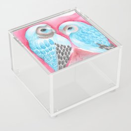 owls Acrylic Box