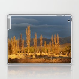 Argentina Photography - Trees In The Warm Sunset Laptop Skin