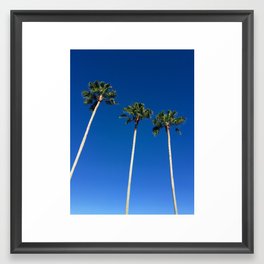 miami beach palm trees and blue sky Framed Art Print