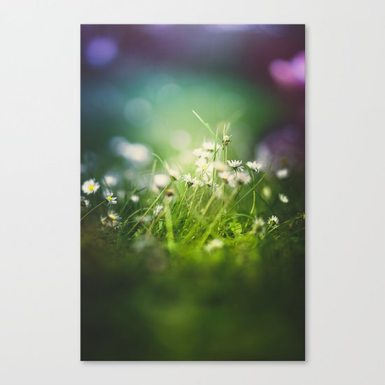 I tripped again Canvas Print