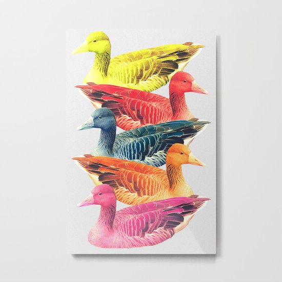 DUCKCOLOR Metal Print