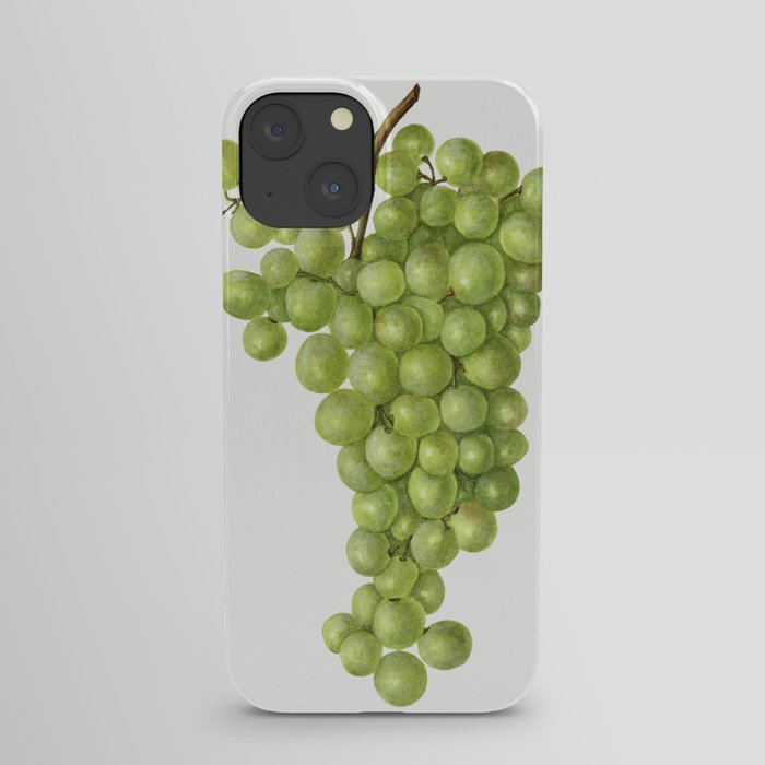 Vintage bunch of green grapes illustration.8 iPhone Case