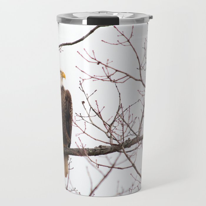 Bald Eagle Travel Mug