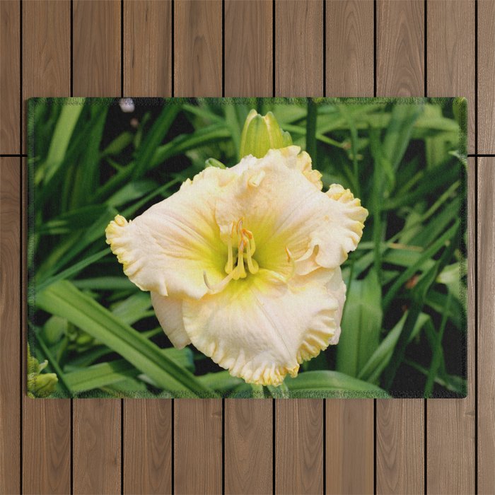 A Yellow Day Lily in Bloom Outdoor Rug