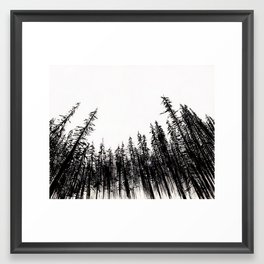 Pine Forest Framed Art Print