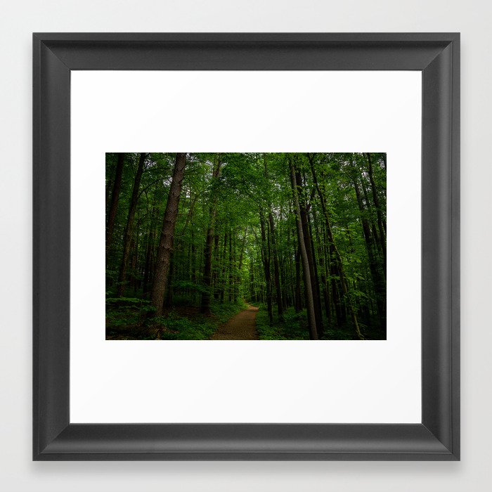 *DARKER VERSION* Furnace Run Trail in Cuyahoga Valley National Park Framed Art Print
