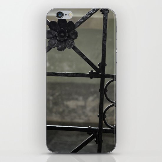 Fence iPhone & iPod Skin