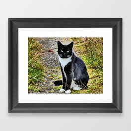 Friendly Cat of the Scottish Highlands in I Art Framed Art Print