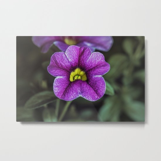 Purple fower Metal Print