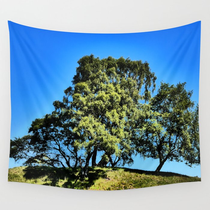 We Three Birch Trees of the Scottish Highlands in I Art  Wall Tapestry