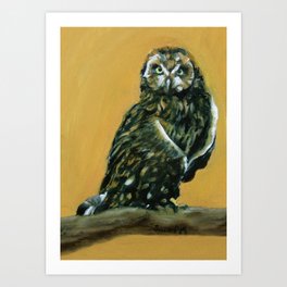 Pueo Needs a Name, Hawaiian Owl Art Print | Owl, Painting, Oil, Realism, Mustard, Bird, Wings, Sarahsoward, Pop Art, Pueoneedsaname 