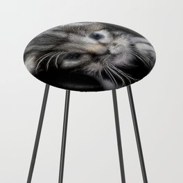 Spiked Grey Kitten Counter Stool