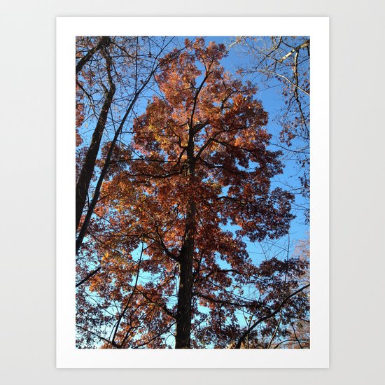 Oak Tree at Dawn Art Print
