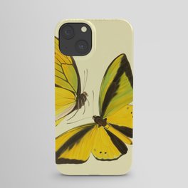 Lepidoptera Butterfly Pattern WFK Cottagecore Lithograph Print iPhone Case