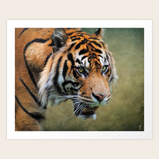 On the Prowl Art Print