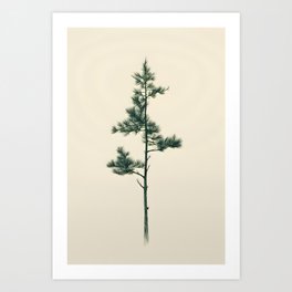 Pine tree Art Print
