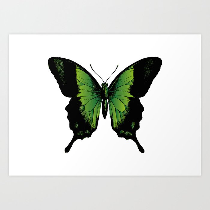 Green Butterfly | Vintage Butterfly | Green and Black | Art Print