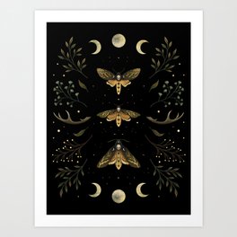Death Head Moths Night Art Print