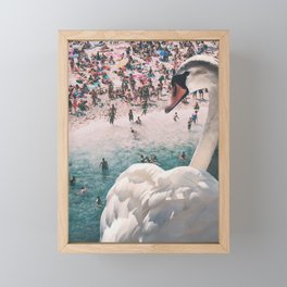Swan on the Beach Framed Mini Art Print