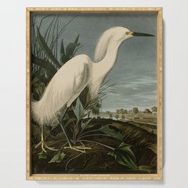 Snowy Heron or White Egret from Audubon Birds of America Serving Tray