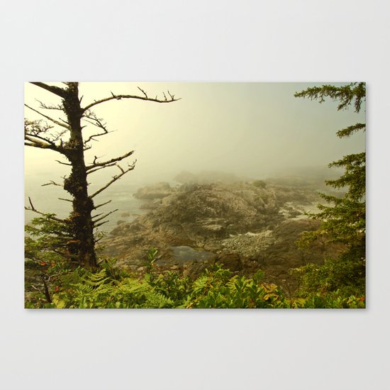 Mist Canvas Print
