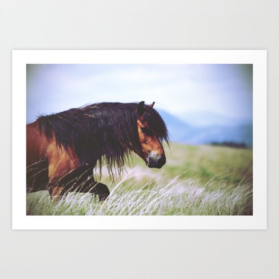 Horse Art Print