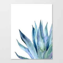 Blue agave plant. Canvas Print
