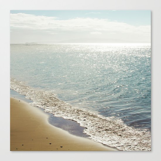 beauty and the beach Canvas Print