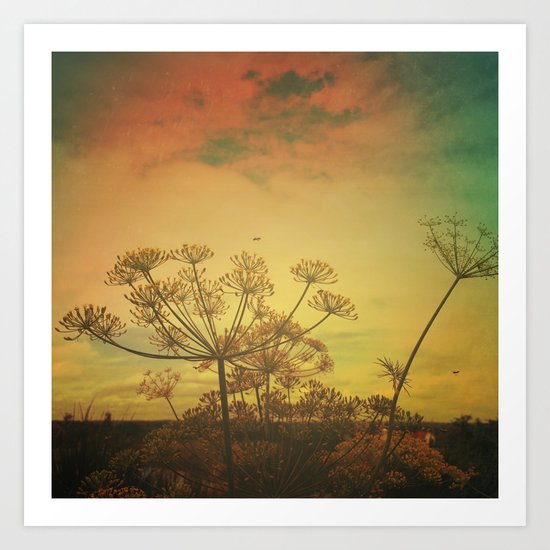 Summer Enchantment Art Print