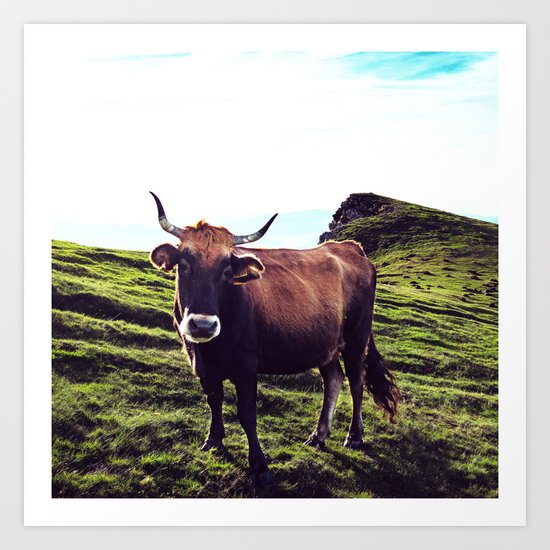 Cow in the Alps, Mountains Art Print
