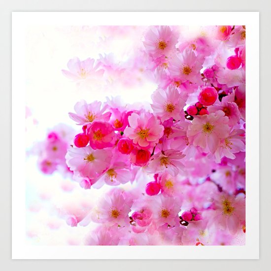 PINK CHERRY BLOSSOMS Art Print