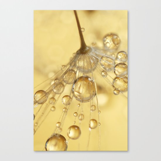 Golden Drops Canvas Print