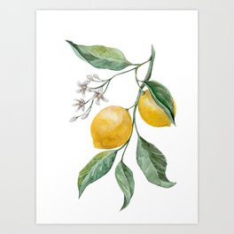Lemon Branch watercolor Art Print