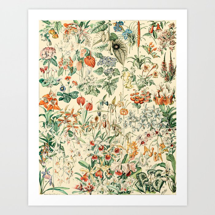 Plant Art, Flower Design, Bohemian Decor, Cottagecore Painting, Farmhouse Decor - Wildflowers Art Print