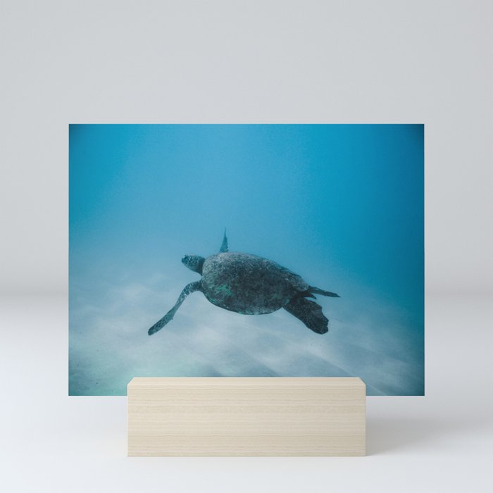 Turtle In The Sea Mini Art Print