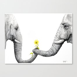 "Up Close You Are More Wrinkly Than I Remembered" Canvas Print