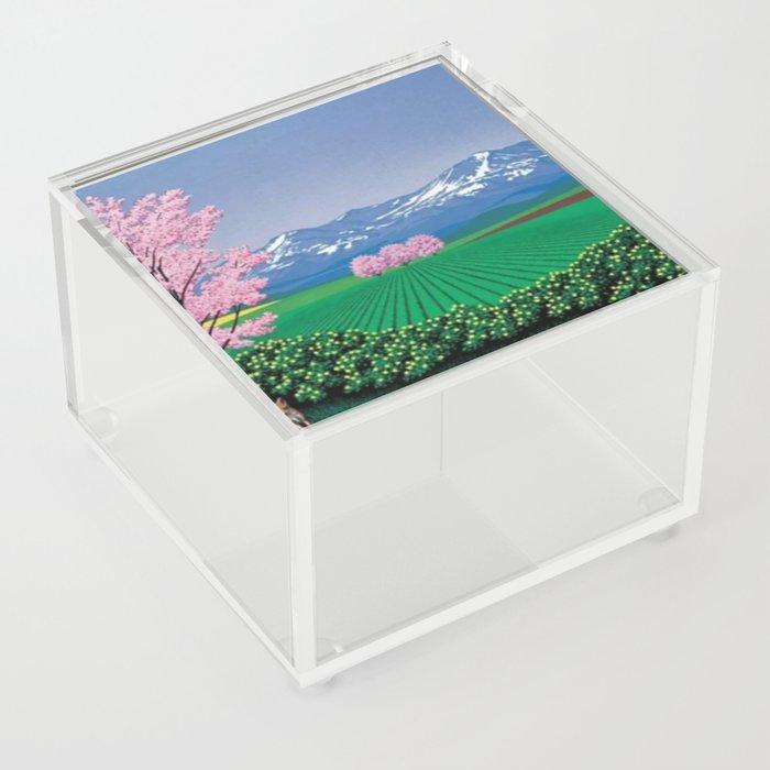 hiroshi nagai Acrylic Box