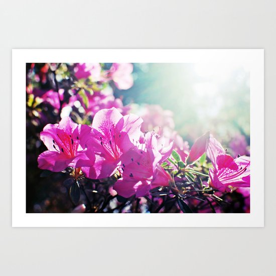 A Flare of Spring Art Print
