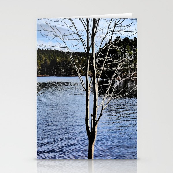 Spring Trees View at Loch an Eilein Stationery Cards