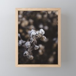 Detail of a frozen thistle in winter Framed Mini Art Print
