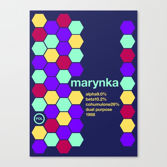 marynka single hop Canvas Print