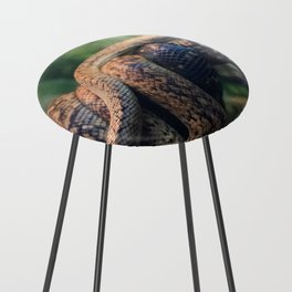 snakes  Counter Stool