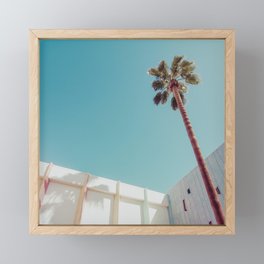 Palm Tree in Palm Springs, Mid Century Modern Photo Framed Mini Art Print