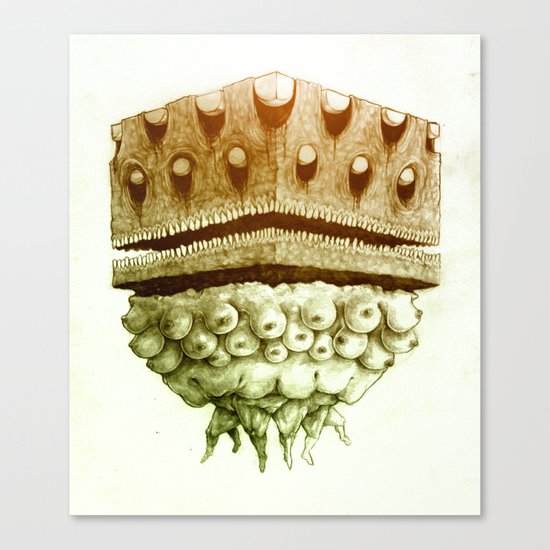 Cube of Boobs Canvas Print