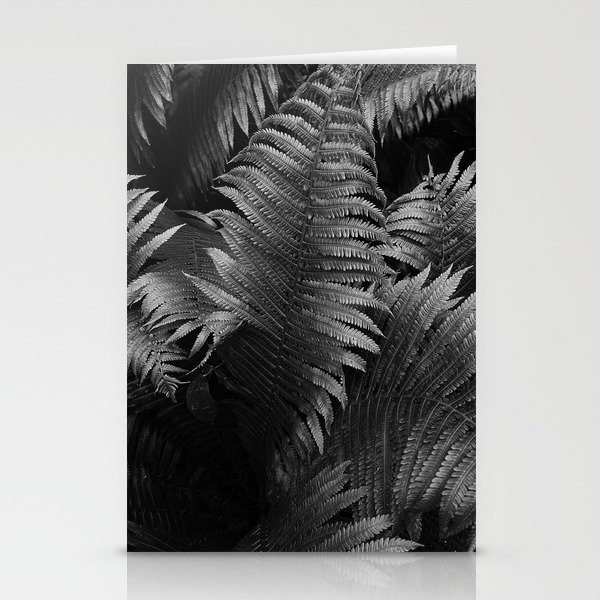 Leaves of green fern nature portrait black and white photograph / photography Stationery Cards