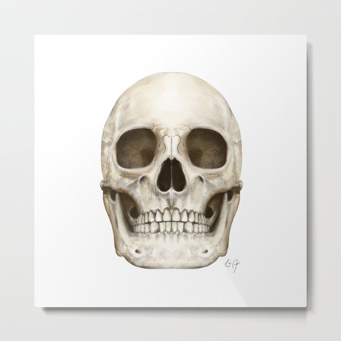 Digital Skull Painting Metal Print By Cjonesscivi Society6