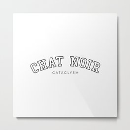 Chat Noir Cataclysm Metal Print | Ladynoir, Miraculous, Ladybugandcatnoir, Chatnnoir, Adrienandmarinette, Adrien, Cat, Miraculousladybug, Retro, Sweet 