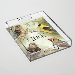 Finch. Acrylic Tray