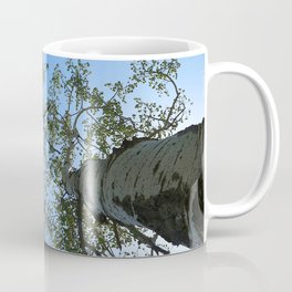 Watercolor Tree, Under, Aspen 01, RMNP, Colorado Coffee Mug